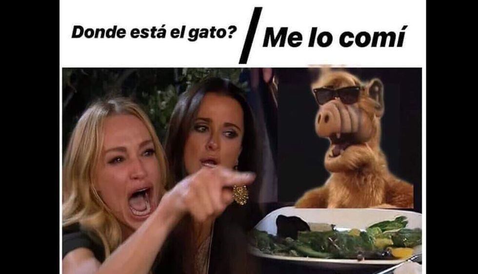 "Me dijiste que...", la historia detrás del meme de la mujer y el gato