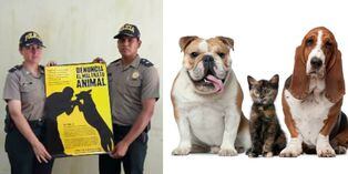 Policía Nacional crea Departamento de Protección y Bienestar Animal