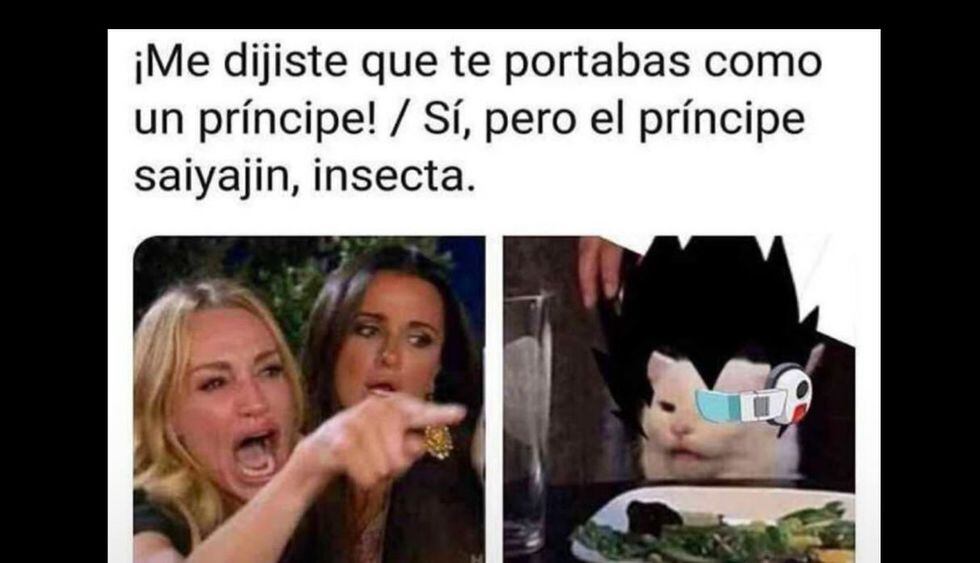 "Me dijiste que...", la historia detrás del meme de la mujer y el gato