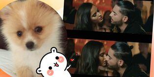 ¿Maluma y Natalia Barulích son más que amigos? Esta adorable perrita sería clave para resolver la incógnita