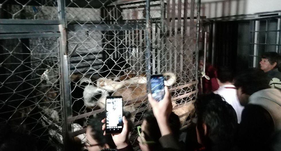 Vecinos señalan que la mujer, a quien llaman la 'Mata Perros', robaba animales domésticos del vecindario y pedía recompensa por ellos. (Foto: @AmbienteGobPue)