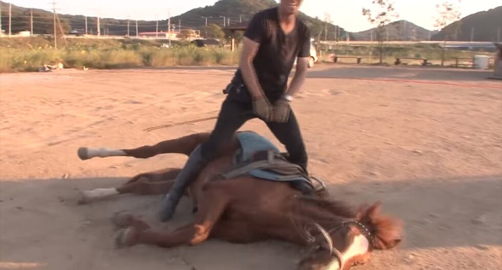 Facebook: caballo se 'hace el muerto' cada vez que alguien lo quiere montar | FB | Face | Animales | Insólito | Curiosidades | Video