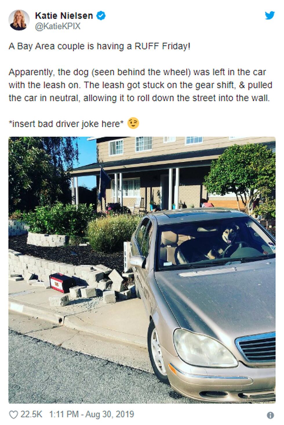 Hombre dejó a su perro dentro de su auto y todo terminó de forma catastrófica. (Foto: KatieKPIX)