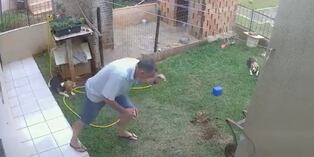 Hombre intenta acabar con plaga de cucarachas y termina explotando su propio jardín