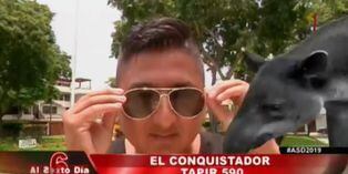 'Tapir 590' contó sus secretos de seducción en 'Al sexto día' a todas sus 'mascotas' | VIDEO