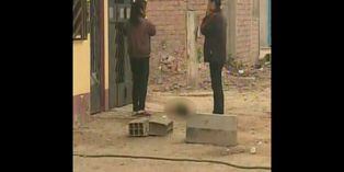 Carabayllo: Delincuentes matan a 8 perros y varios gatos para entrar a robar a casas | VIDEO y FOTOS