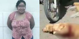 Piura: Mató a cuchilladas a perrito que intentó orinar en la puerta de su negocio
