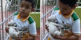 Típico que tu mamá te manda a comprar a la tienda y vuelves a casa con un cachorrito en brazos