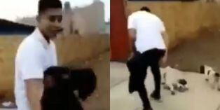 Desequilibrado sujeto golpea a perrita y arroja a su cachorro por los aires en Huacho