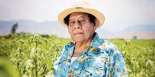El maestro Antonio Gálvez Ronceros
