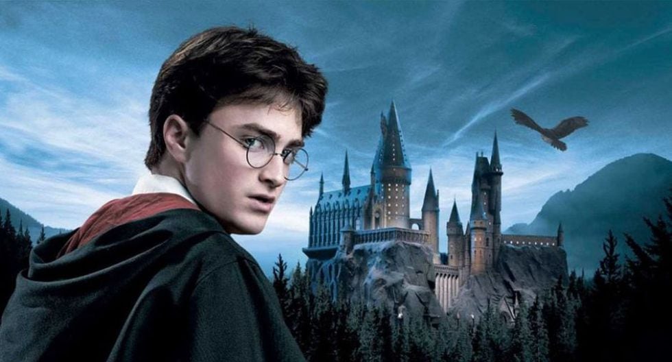 Conoce al otro Harry Potter.